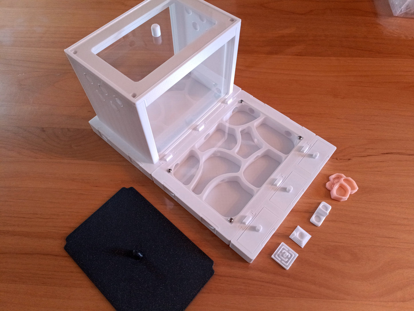 Fourmicarium fourmilière complète
