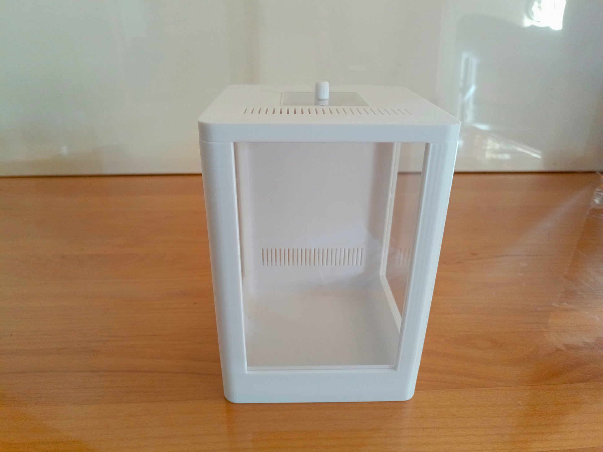 Terrarium Phidippus Regius 2