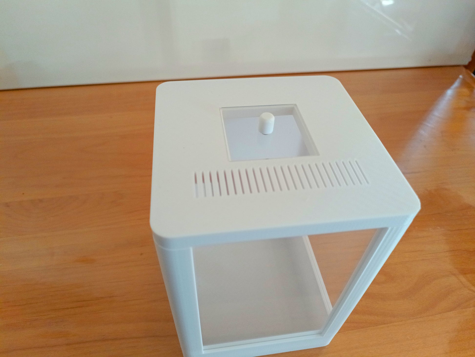 Terrarium Phidippus Regius 3