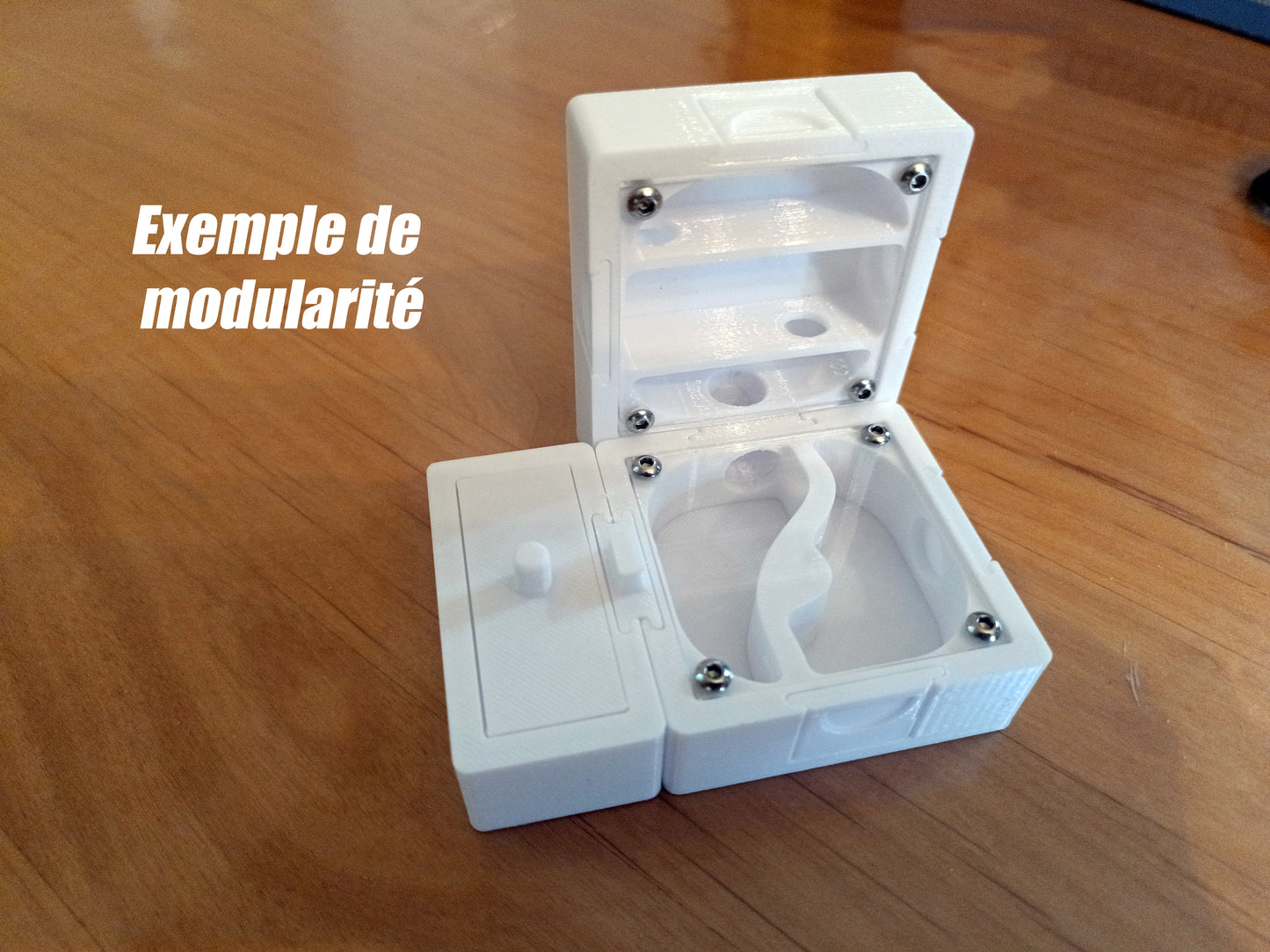 Nid fourmis vertical small 3