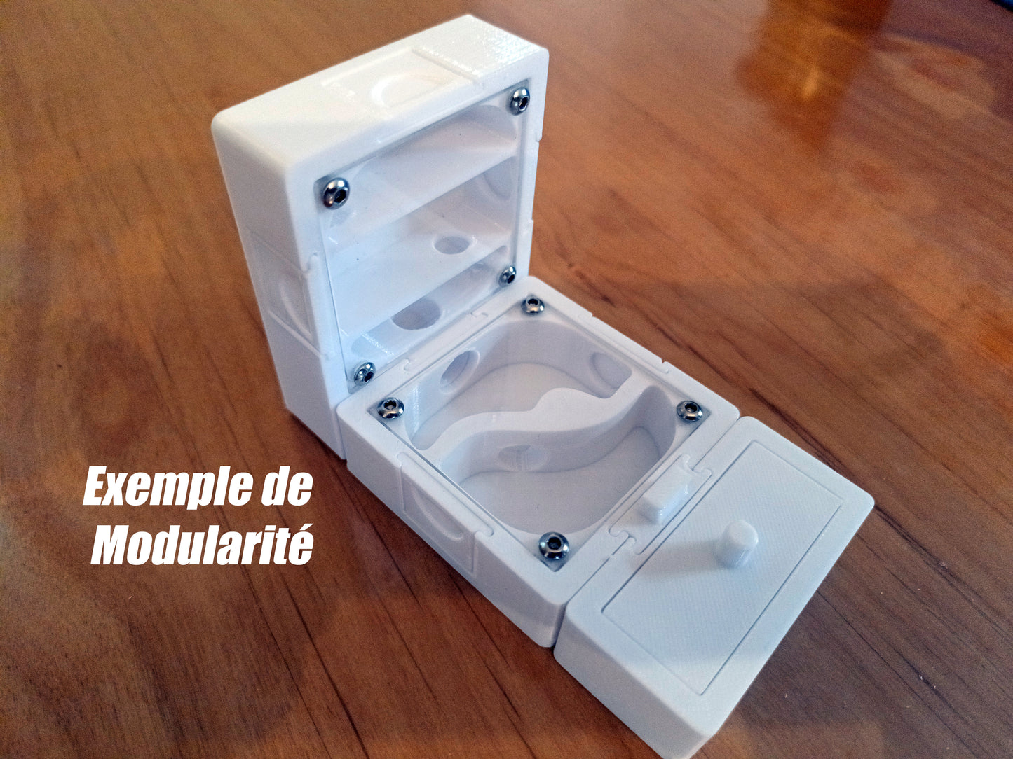 Nid fourmis vertical small 4