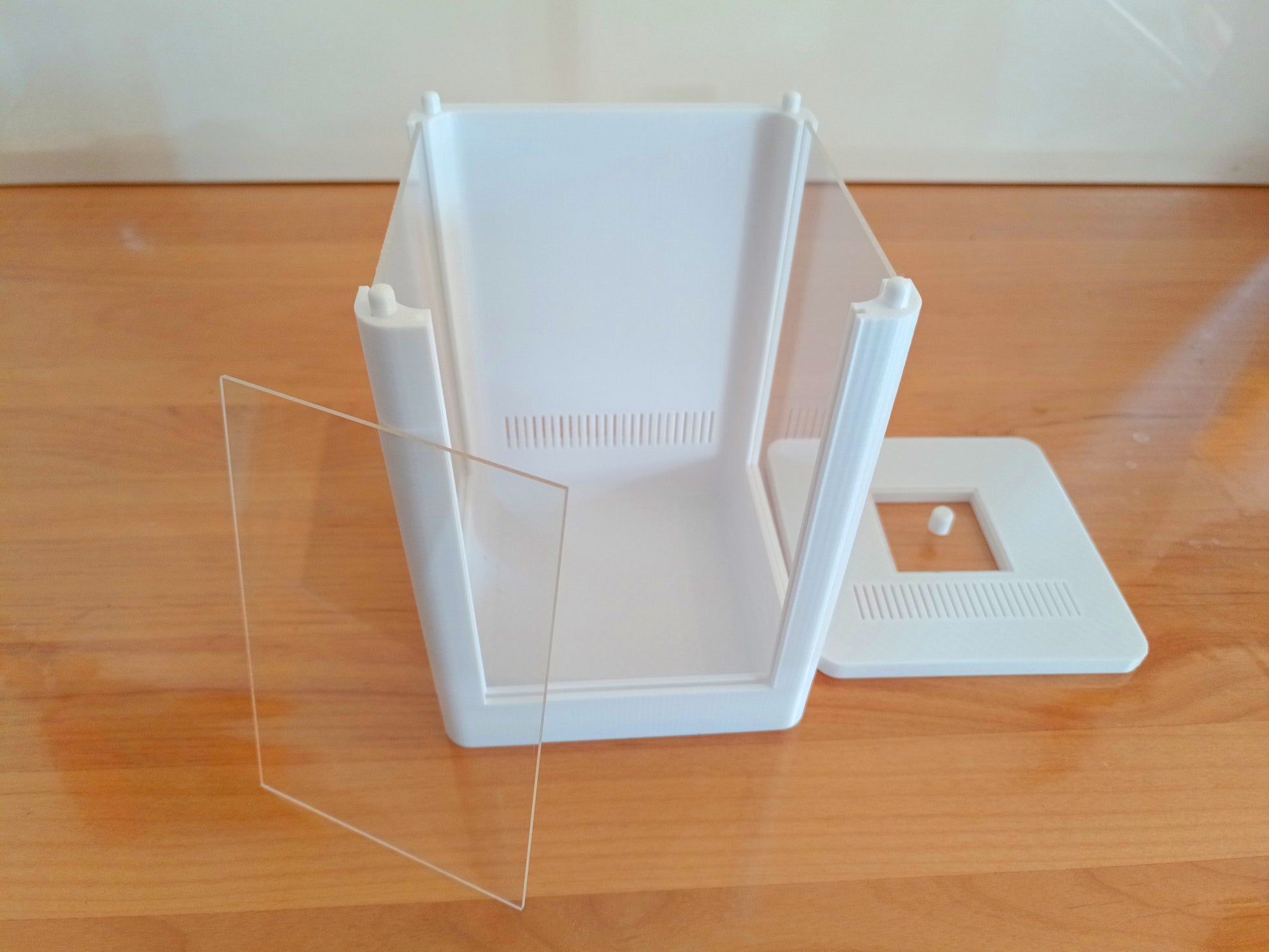 Terrarium Phidippus Regius 6