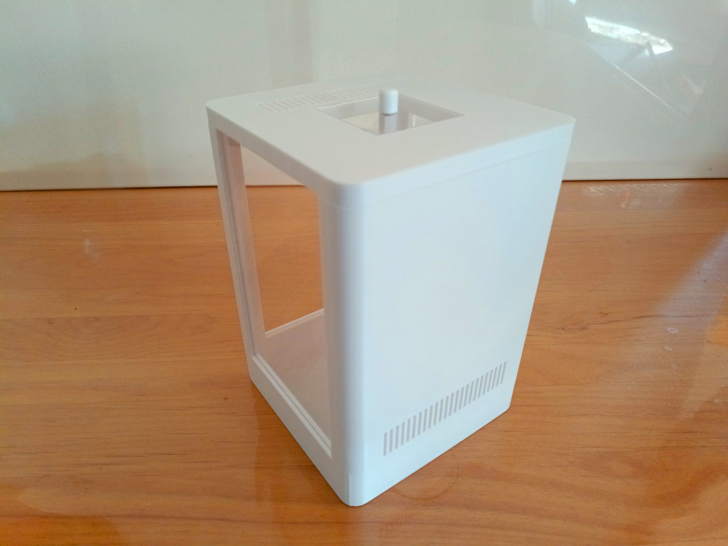 Terrarium Phidippus Regius 7