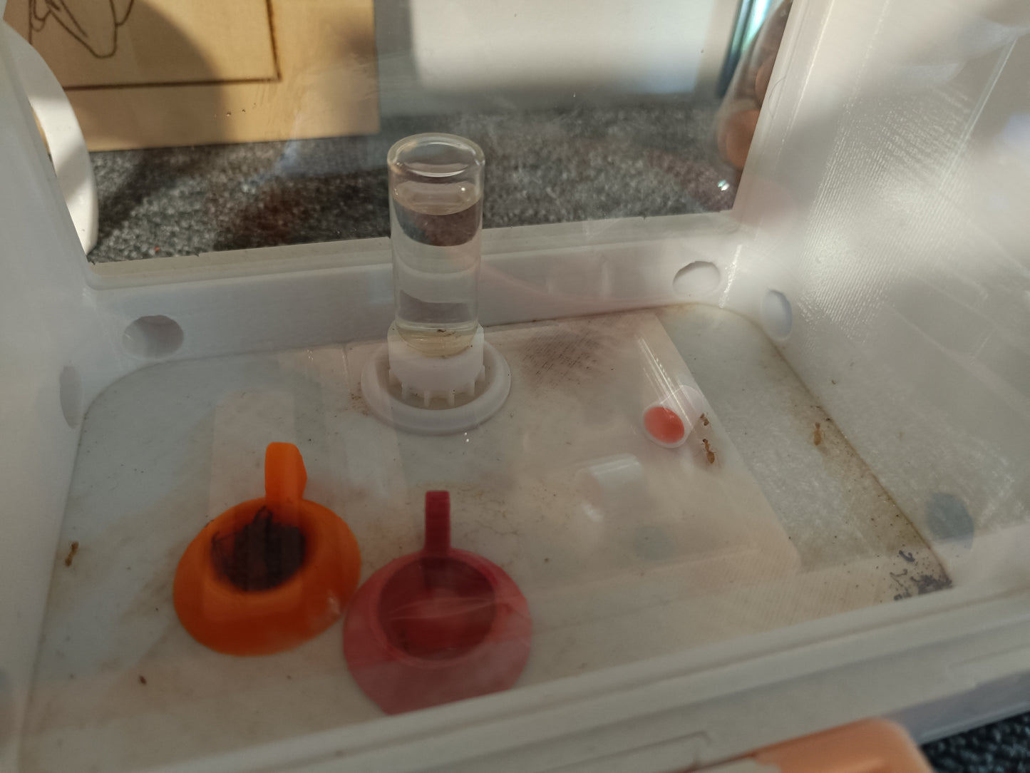 Pot Baby Jelly et support