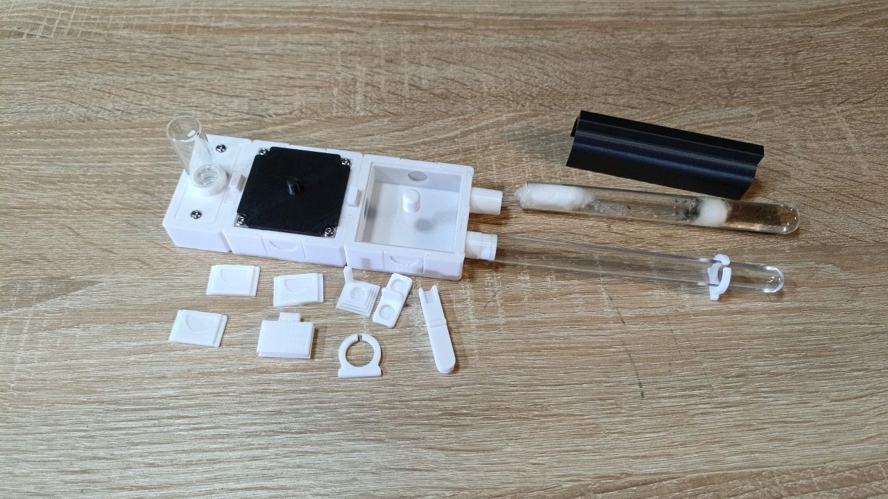 Kit Starter avec Colonie de Fourmis "Mystère"
