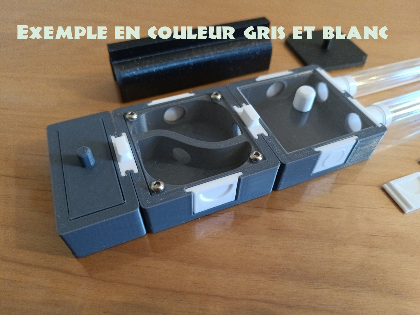 exemple nid fourmis gris