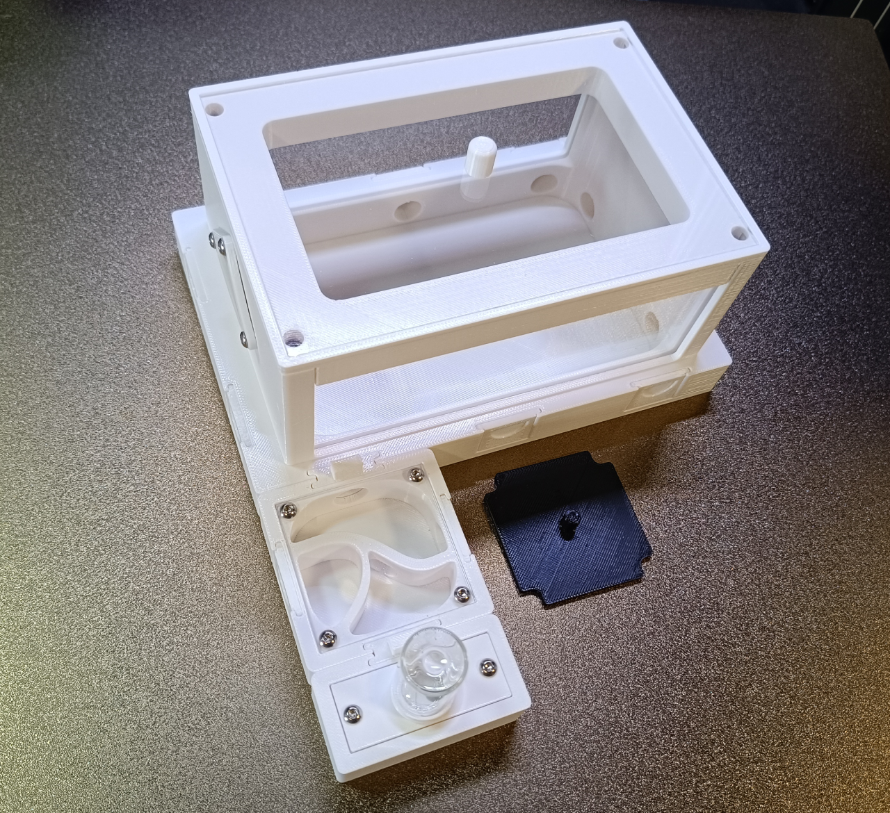 Kit Starter Medium Modul'Ants