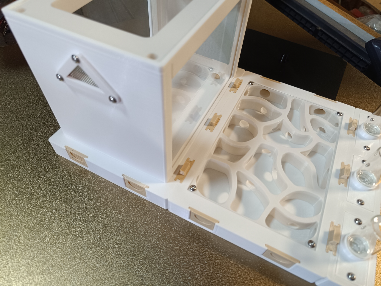 Kit fourmicarium Modul'ants