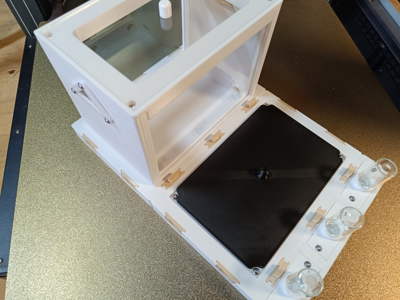 Kit fourmicarium Modul'ants